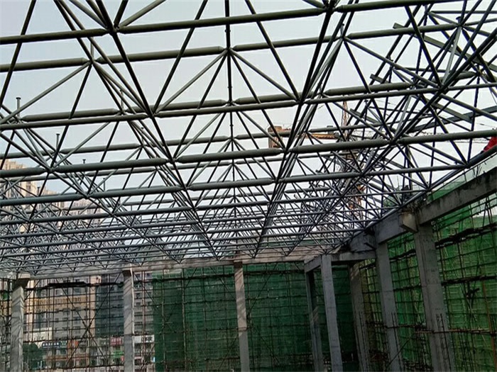 北安光谷第十一小学网架